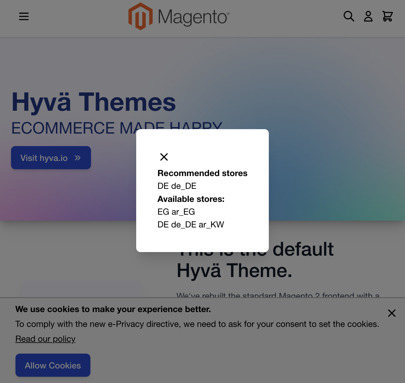 Hyvä Theme